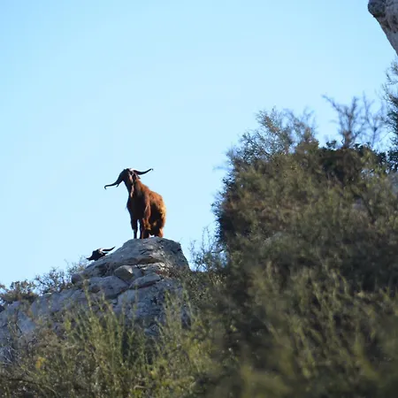 Cyprus 2 Beds Ensuite Pool Patio Wifi Parking Holiday home Polis