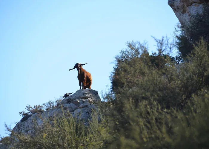 Cyprus 2 Beds Ensuite Pool Patio Wifi Parking Casa vacanze Polis